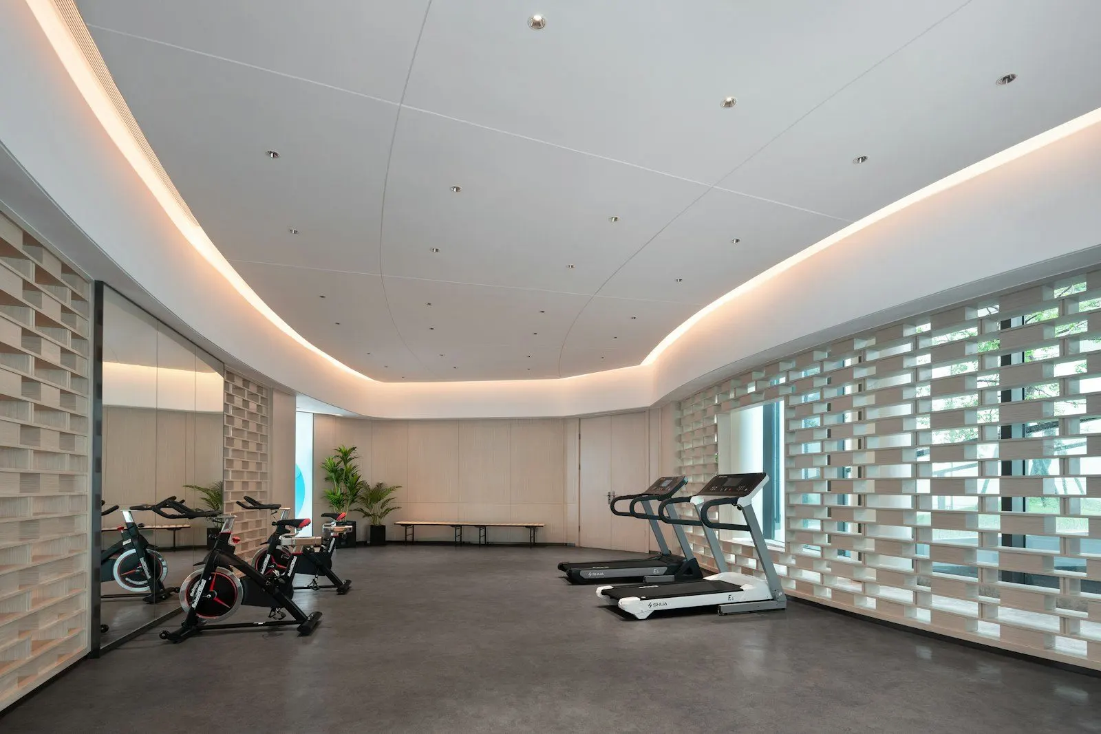 Zona de cardio del centro junto al ventanal